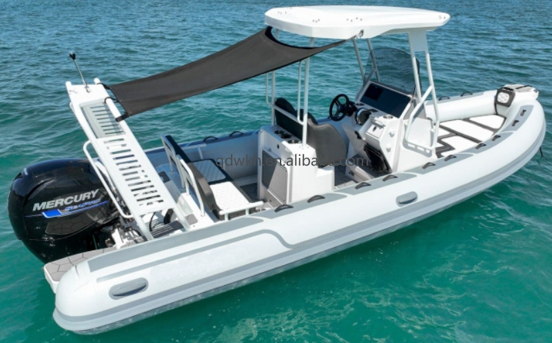 MSCE Certificato Sport Stile D - Fishing Boat Fiberglass recensione e prezzo
